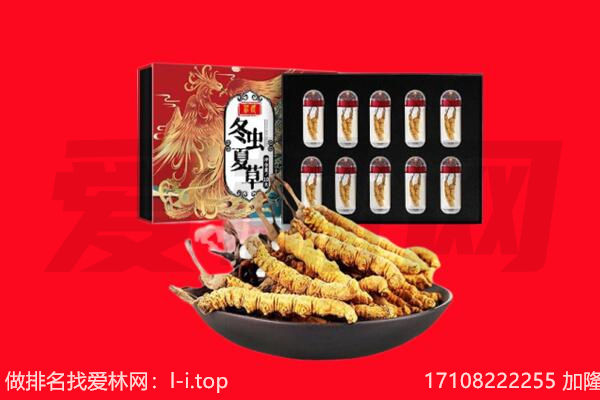 江干区回收虫草.jpg